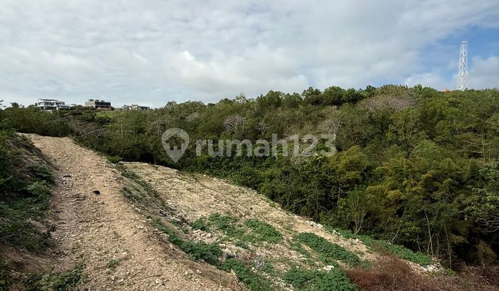 Wide Land on Green Bowl Beach Road