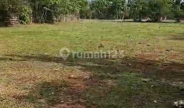 Jual Tanah Kavling area Jimbaran Jual Tanah Kavling area Jimbaran