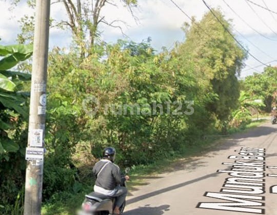 Tanah 50 Are Daerah Pererenan