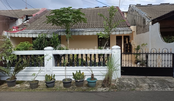 Rumah Asri Dan Nyaman Siap Huni Di Bogor Kota Rumah Asri Dan Nyaman Siap Huni Di Bogor Kota