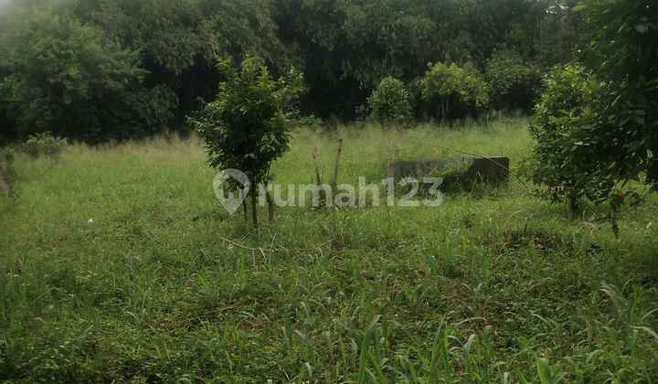 Lahan Premium Di Kota Cibinong Sangat Strategis Tanah Lahan Premium Di Kota Cibinong Sangat Strategis Tanah