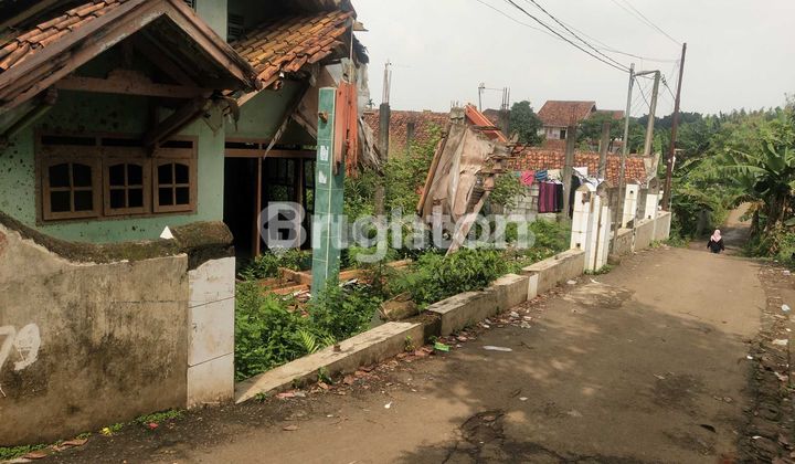 JUAL TANAH KAMPUNG SANGAT LUAS 2