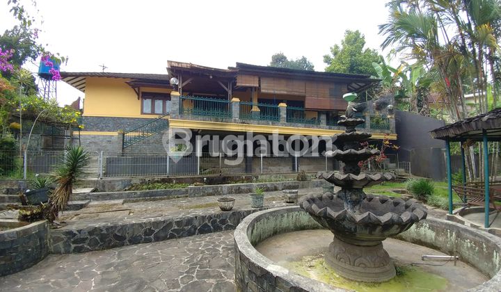DIJUAL TANAH BONUS RUMAH DI CIKOPO DIJUAL TANAH BONUS RUMAH DI CIKOPO