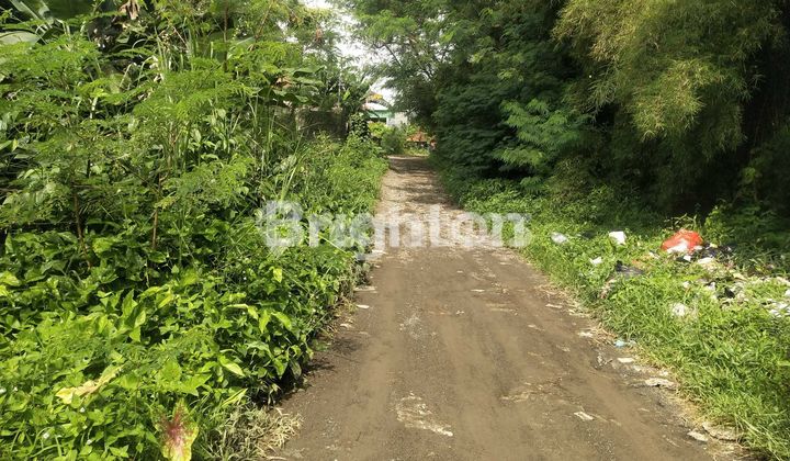 TANAH STRATEGIS DEKAT PASAR CILUAR 1