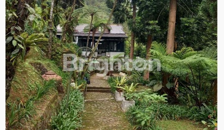 VILLA IN CISARUA MAY LELESON