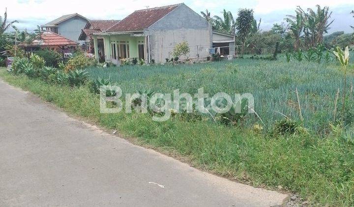 TANAH LUAS DI JUAL DI SUKABUMI 1
