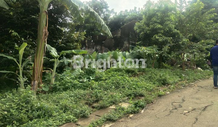 TANAH STRATEGIS DEKAT PASAR CILUAR 2