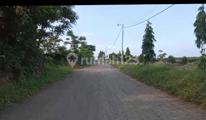 Tanah yang Strategis ,Investasi Masadepan di Situbondo Jawa Timur. Tanah yang Strategis ,Investasi Masadepan di Situbondo Jawa Timur.