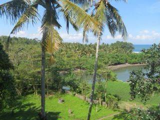 Tanah SHM 68 Are di Medewi - view sawah, sungai dan laut 2