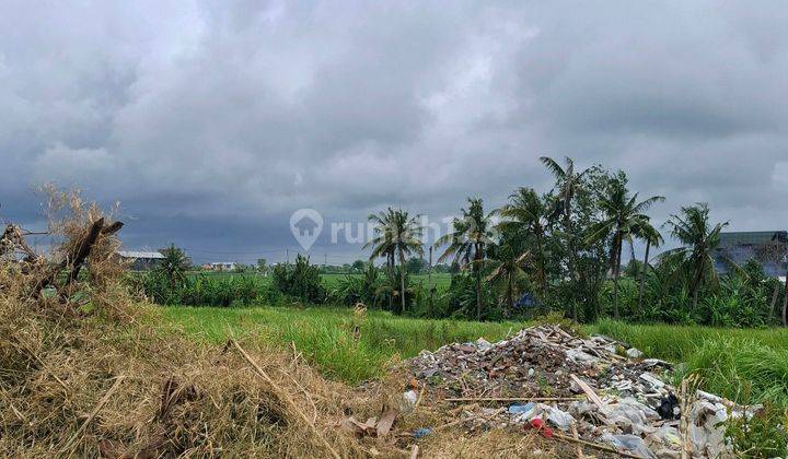 Tanah Di Seseh Seluas 27.5 Are - Bersampingan Dengan Shortcut 1