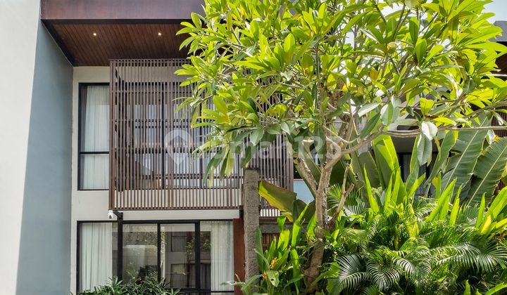 Villa 3 Bedroom In The Heart Of Canggu - Kayu Tulang