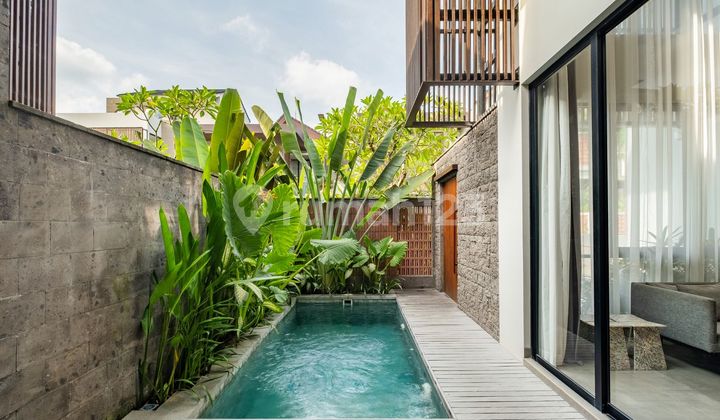 Villa 3 Bedroom In The Heart Of Canggu - Kayu Tulang