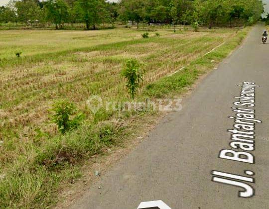 Tanah Murah Lokasi Bisnis Di Dekat Bandara Int. Kertajati Majalengka Tanah di Jl. Bantarjati Sukamulya, Bantarjati, Kec. Kertajati, Kabupaten Majalengka, Jawa Barat, Kertajati SHM 8800.0 m² 2