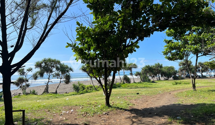 Best View Garut Beach Location Land On the South Coast Edge Rancabuaya Main Road. Good and Cheap! Land on South Coast Cross Road, Rancabuaya, Garut, Garut City SHM - Certificate of Ownership 35000 m²