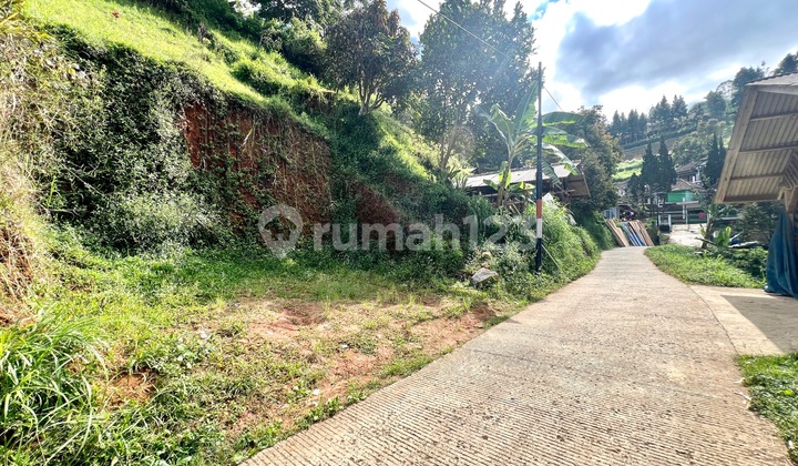 Murah! Tanah Dago Pakar Udara Sejuk Pemandangan Hijau Hutan Pinus Cck U Villa Murah! Tanah Dago Pakar Udara Sejuk Pemandangan Hijau Hutan Pinus Cck U Villa