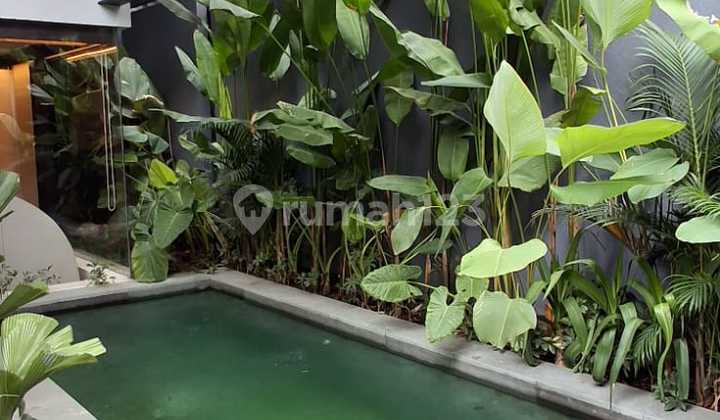 For Sale New Villa 3+1 Bedroom Fully Furnished In Canggu For Sale New Villa 3+1 Bedroom Fully Furnished In Canggu