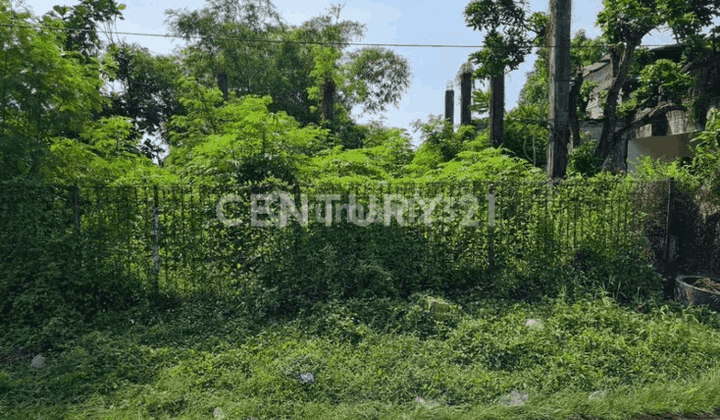 Tanah Di Ring Road Timur Yogyakarta Cocok Untuk Ruko 1