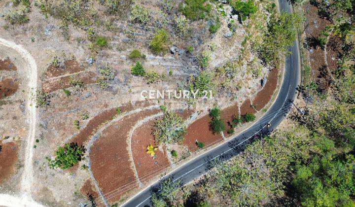 Tanah Potensial Jalan Baron Gunung Kidul Di Tepi Jalan Provinsi 1