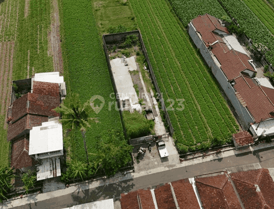 Tanah Luas 433 M2 Dengan LD 10 M Di Kalasan Cocok Untuk Perumahan 2