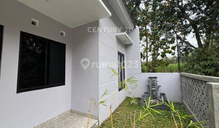 Rumah Hunian Asri Dengan View Sungai Cocok Untuk Keluarga Muda