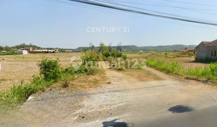 517m2 Hook Land in Kasongan Bantul for Minimarket or Cafe 517m2 Hook Land in Kasongan Bantul for Minimarket or Cafe