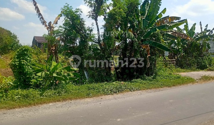 Tanah Sawah Dan Pekarangan Di Maguwoharjo Dekat RS Hermina Tanah Sawah Dan Pekarangan Di Maguwoharjo Dekat RS Hermina