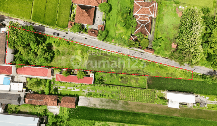 Land 1140M2 Near Prambanan Temple Suitable for Guest House Land 1140M2 Near Prambanan Temple Suitable for Guest House