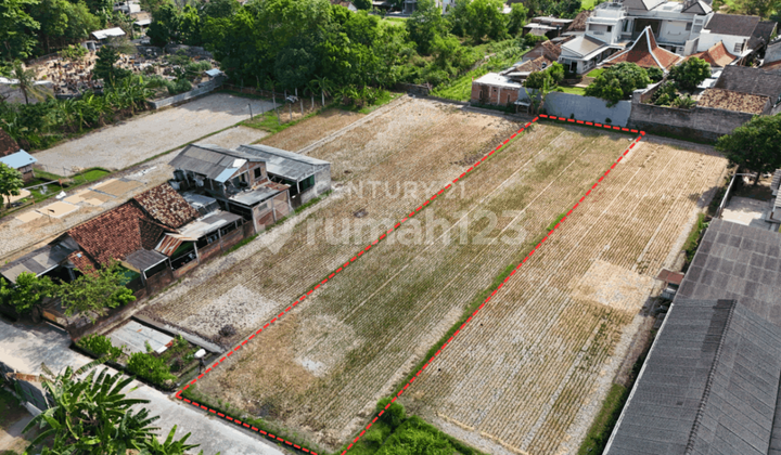 Tanah Sawah LT 1126m2 Di Berbah Sleman Hanya 100 M Dari Jogja TV