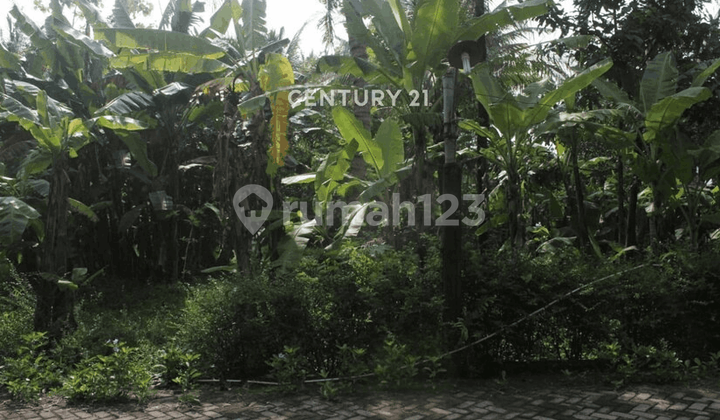 Land Area 490 M2, Suitable for Investment in Minggir, Sleman.