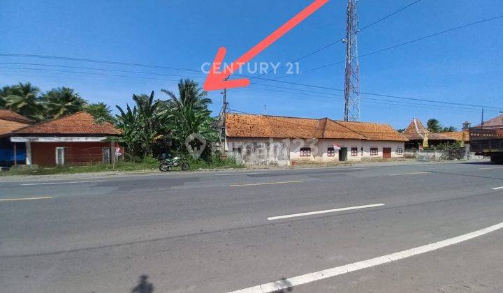 Tanah Luas 1358 M2 Di Jalan Wates Hanya 230 M Dari Pasar Temon Yk 1