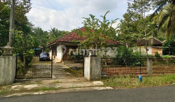 Rumah Halaman Luas Di Kalibawang Cocok Untuk Keluarga Besar 1