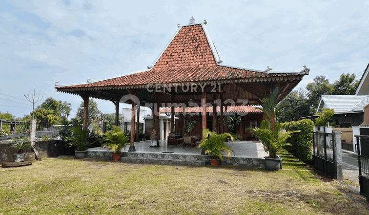 Special Classic House With Spacious Pendopo And Limasan Special Classic House With Spacious Pendopo And Limasan