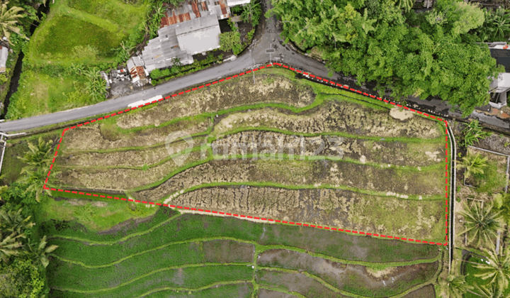 Tanah Sawah dengan Ld 150M di Sleman Utara Dekat Pasar Pakem Tanah Sawah dengan Ld 150M di Sleman Utara Dekat Pasar Pakem