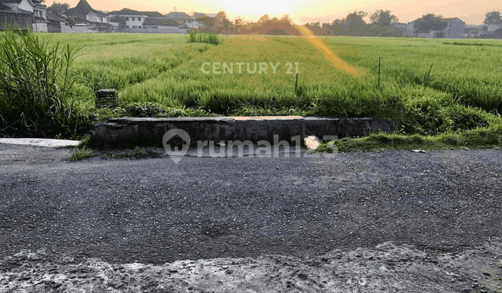 Tanah Hanya 200 M Dari Bantul Square Dapat Dibeli Sebagian Saja Tanah Hanya 200 M Dari Bantul Square Dapat Dibeli Sebagian Saja