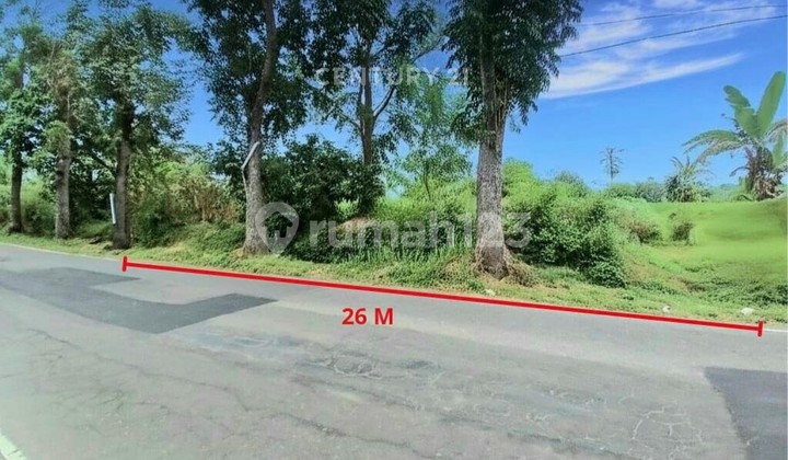 Land by the Road Near Sleman City Hall Ideal for Villa Land by the Road Near Sleman City Hall Ideal for Villa