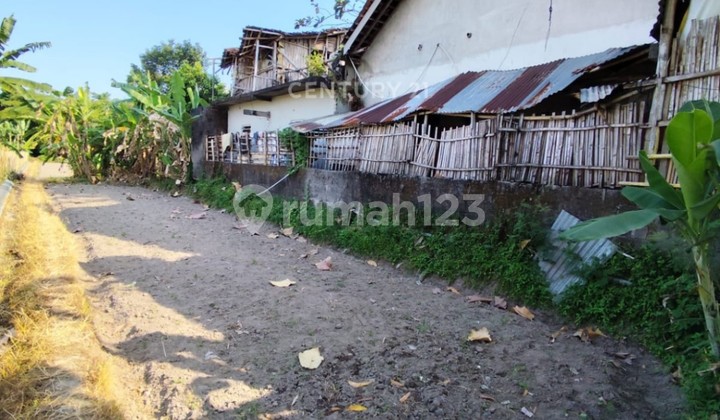 Rice Field Land 7m Frontage in Mlati, Suitable for House or Business Rice Field Land 7m Frontage in Mlati, Suitable for House or Business