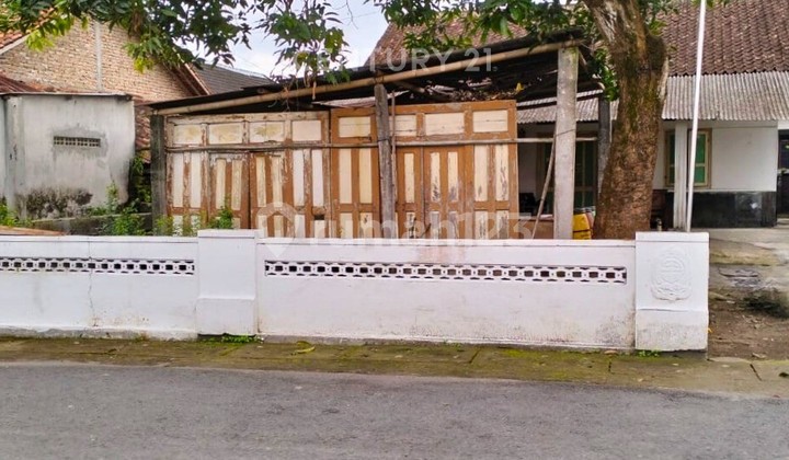 Tanah Bonus Rumah di Banguntaoan Dekat Kampus Atmajaya Tanah Bonus Rumah di Banguntaoan Dekat Kampus Atmajaya