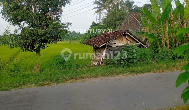 Tanah Sawah Luas 2080m2 Di Wedomartani Cocok Untuk Investasi