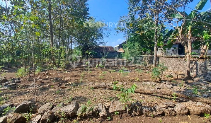 Tanah Pekarangan 341 M2 Di Kepek Cocok Untuk Bangun Hunian