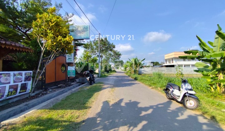 Rice Field Land 7m Frontage in Mlati, Suitable for House or Business Rice Field Land 7m Frontage in Mlati, Suitable for House or Business