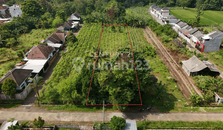 Tanah Luas 3269m2 Di Mlati Hanya 250 M Dari Puskesmas Mlati 2