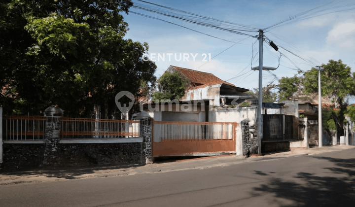 Tanah LT 439m2 Bonus Bangunan Hanya 400m Ke Alun Alun Kidul Jogja Tanah LT 439m2 Bonus Bangunan Hanya 400m Ke Alun Alun Kidul Jogja