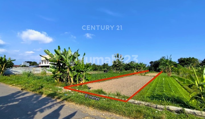 1,249m2 Rice Field Land in Mlati for Culinary Tourism with a Natural Ambiance 1,249m2 Rice Field Land in Mlati for Culinary Tourism with a Natural Ambiance