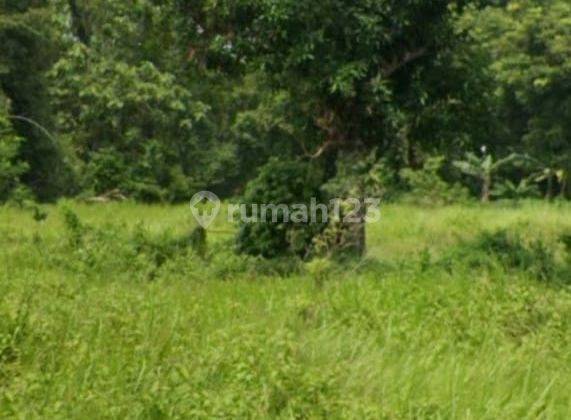 Dijual Tanah 2rb M2 Sukamulya Tangerang 1