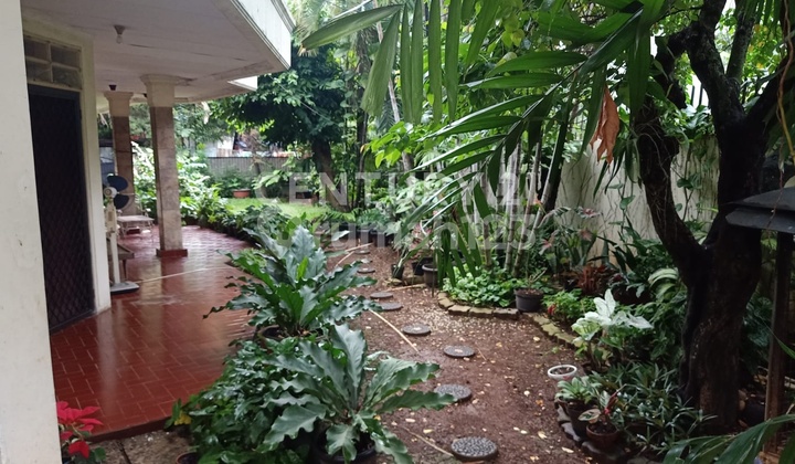 Dijual Rumah Dengan Tanah Luas Di Hook Cikini Jakarta Pusat Dijual Rumah Dengan Tanah Luas Di Hook Cikini Jakarta Pusat