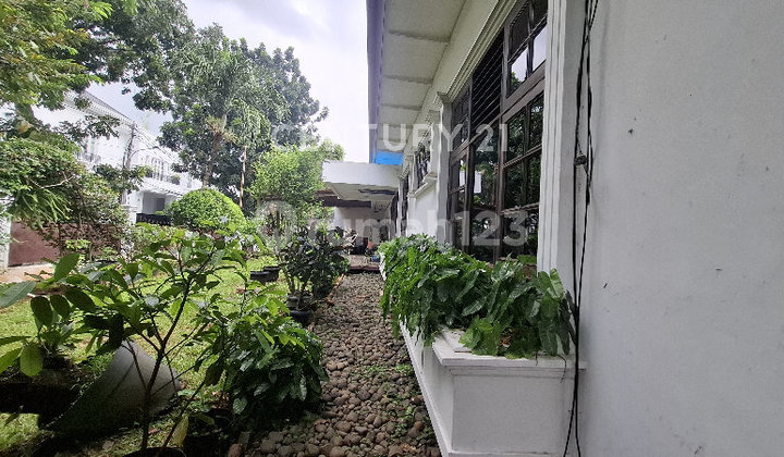Rumah Hook 1½ Lt Taman Luas di Lokasi Prestisius Menteng Jakarta 2