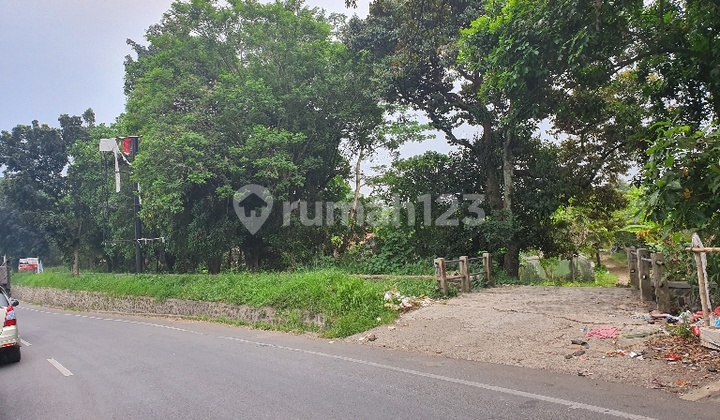 Land by the Road. Province Near IPB Campus.