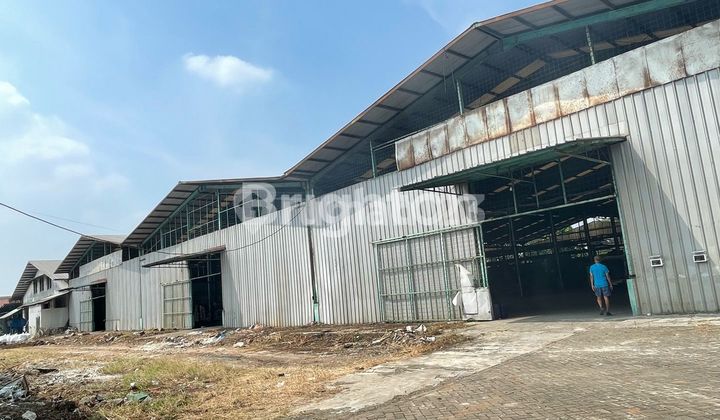 For Rent Warehouse/Factory Area 8100 Square Meters in Mauk Tangerang