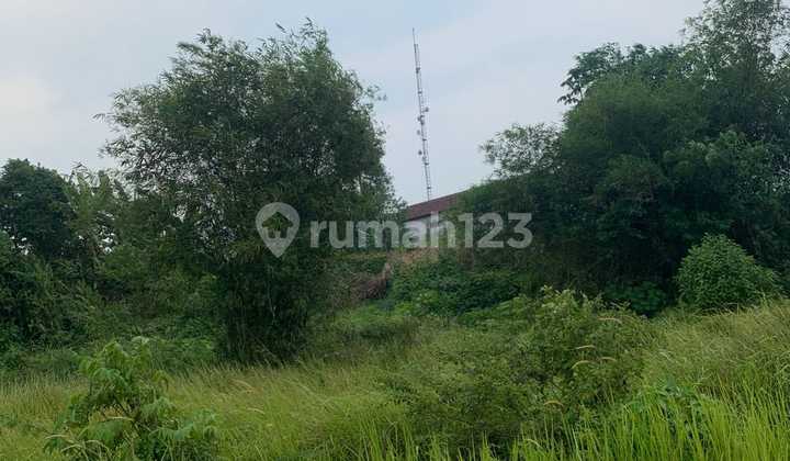 Land near IPB campus. Land near IPB campus.