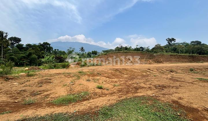 Land for Sale in Cijeruk, Total Area 42 Hectares at a Price of IDR 1.5 Million per Meter.